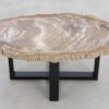 Table basse bois pétrifié 48204