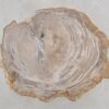 Table basse bois pétrifié 48266
