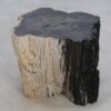 Table d'appoint bois pétrifié 47161