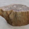 Table d'appoint bois pétrifié 48004