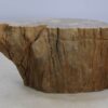 Table d'appoint bois pétrifié 48004