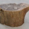 Table d'appoint bois pétrifié 48004