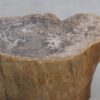 Table d'appoint bois pétrifié 48004