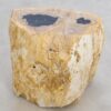 Table d'appoint bois pétrifié 48005