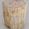 Table d'appoint bois pétrifié 48011