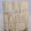 Table d'appoint bois pétrifié 48011