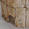 Table d'appoint bois pétrifié 48011