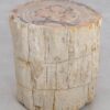 Table d'appoint bois pétrifié 48011