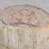 Table d'appoint bois pétrifié 48011