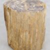 Table d'appoint bois pétrifié 48019