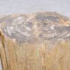 Table d'appoint bois pétrifié 48019