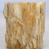 Table d'appoint bois pétrifié 48019