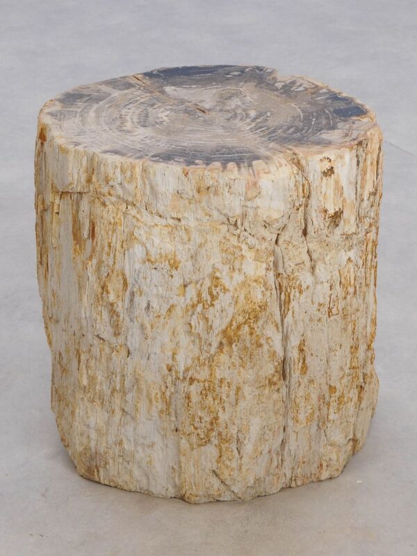 Table d'appoint bois pétrifié 48020