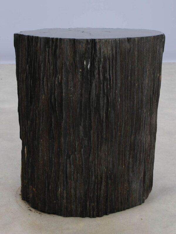 Table d'appoint bois pétrifié 48023