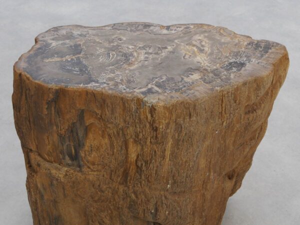 Table d'appoint bois pétrifié 48029