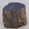Table d'appoint bois pétrifié 48035