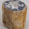 Table d'appoint bois pétrifié 48039