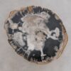 Table d'appoint bois pétrifié 48039