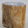 Table d'appoint bois pétrifié 48039