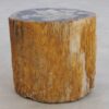 Table d'appoint bois pétrifié 48039