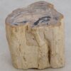 Table d'appoint bois pétrifié 48042