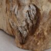 Table d'appoint bois pétrifié 48042