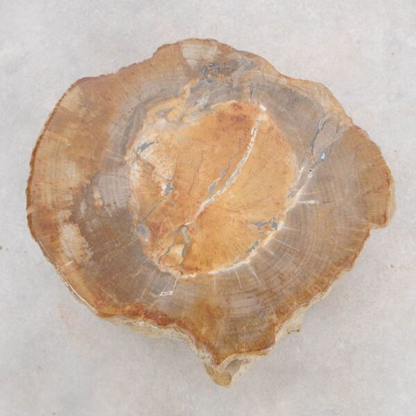 Table d'appoint bois pétrifié 48046