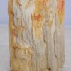 Table d'appoint bois pétrifié 48053