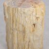 Table d'appoint bois pétrifié 48053