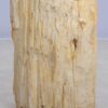 Table d'appoint bois pétrifié 48053