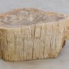 Table d'appoint bois pétrifié 48054