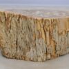 Table d'appoint bois pétrifié 48054