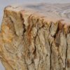 Table d'appoint bois pétrifié 48054