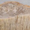 Table d'appoint bois pétrifié 48054
