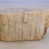 Table d'appoint bois pétrifié 48054
