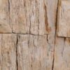 Table d'appoint bois pétrifié 48054