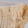 Table d'appoint bois pétrifié 48054