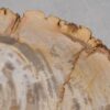 Table d'appoint bois pétrifié 48054