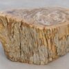 Table d'appoint bois pétrifié 48054