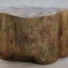 Table d'appoint bois pétrifié 48055