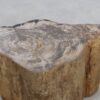 Table d'appoint bois pétrifié 48055