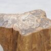 Table d'appoint bois pétrifié 48197