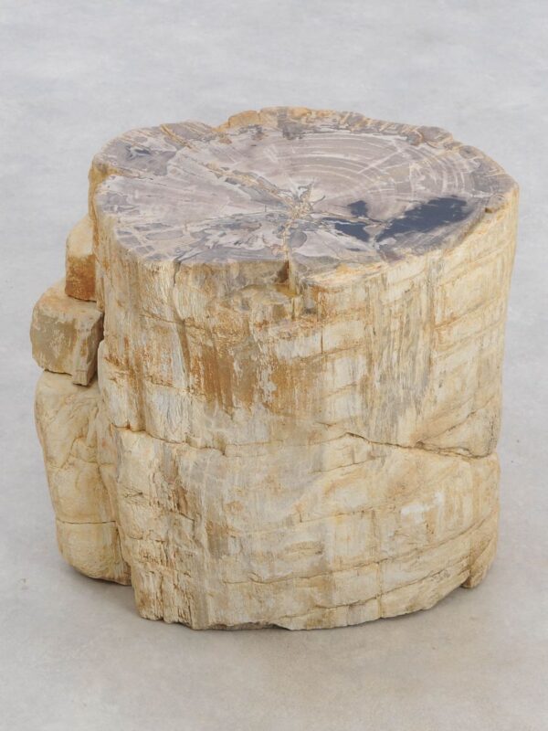 Table d'appoint bois pétrifié 48346