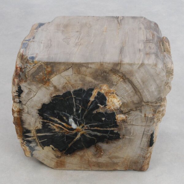 Table d'appoint bois pétrifié 48347