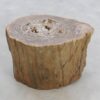 Table d'appoint bois pétrifié 48349