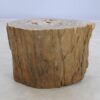 Table d'appoint bois pétrifié 48349
