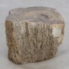 Table d'appoint bois pétrifié 48350