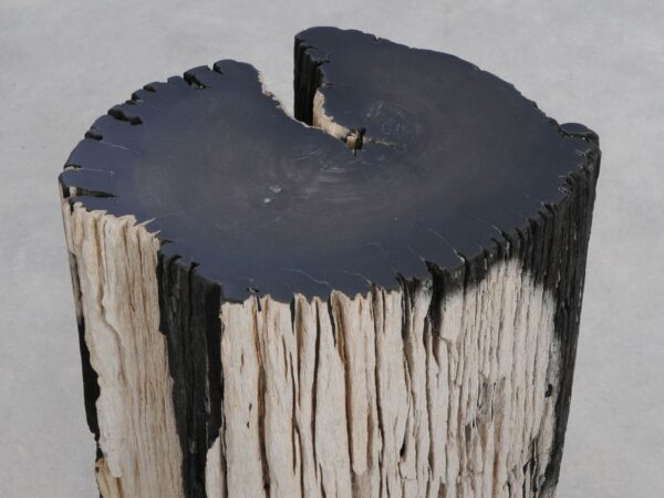 Beistelltisch versteinertes Holz 48027