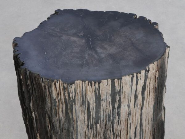 Beistelltisch versteinertes Holz 48352