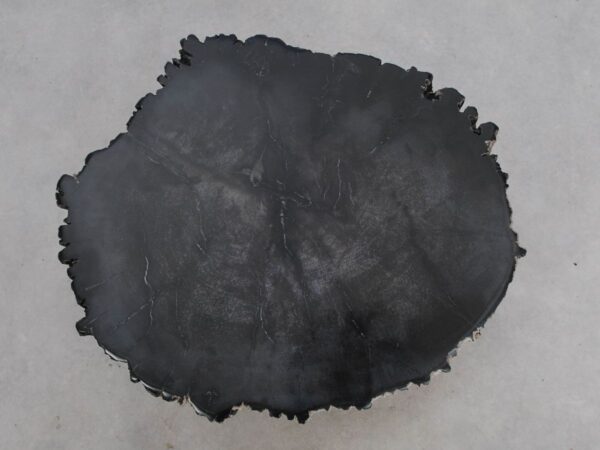 Beistelltisch versteinertes Holz 48352